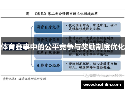 体育赛事中的公平竞争与奖励制度优化